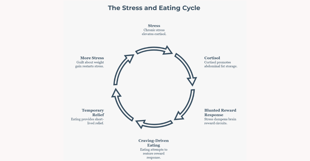 Stress and weight gain cycle